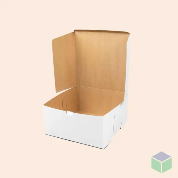 Cake Boxes 10x10x5-2